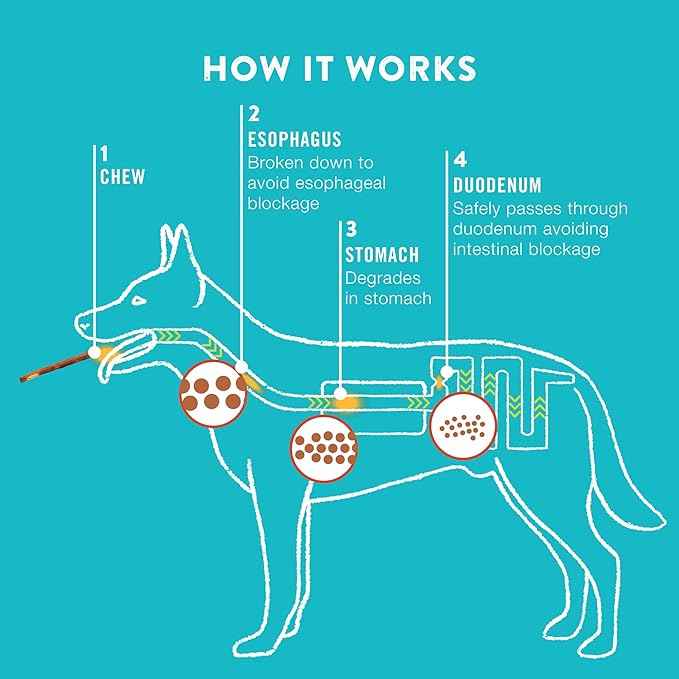 TRURANCH Collagen Sticks - 5" Collagen Sticks for Dogs - Long Lasting Healthy Joint Support Dog Treat - Rawhide Alternative - Skin & Coat Health - Made with Real Peanut Butter, 1 Bag, 15 Count