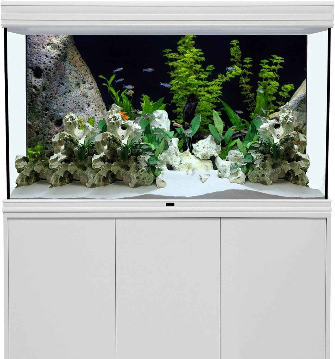 AWERT Vinyl Underwater Aquatic Plant Fish Tank Background Stone River Bed & Lake Aquarium Background 30x18 inches