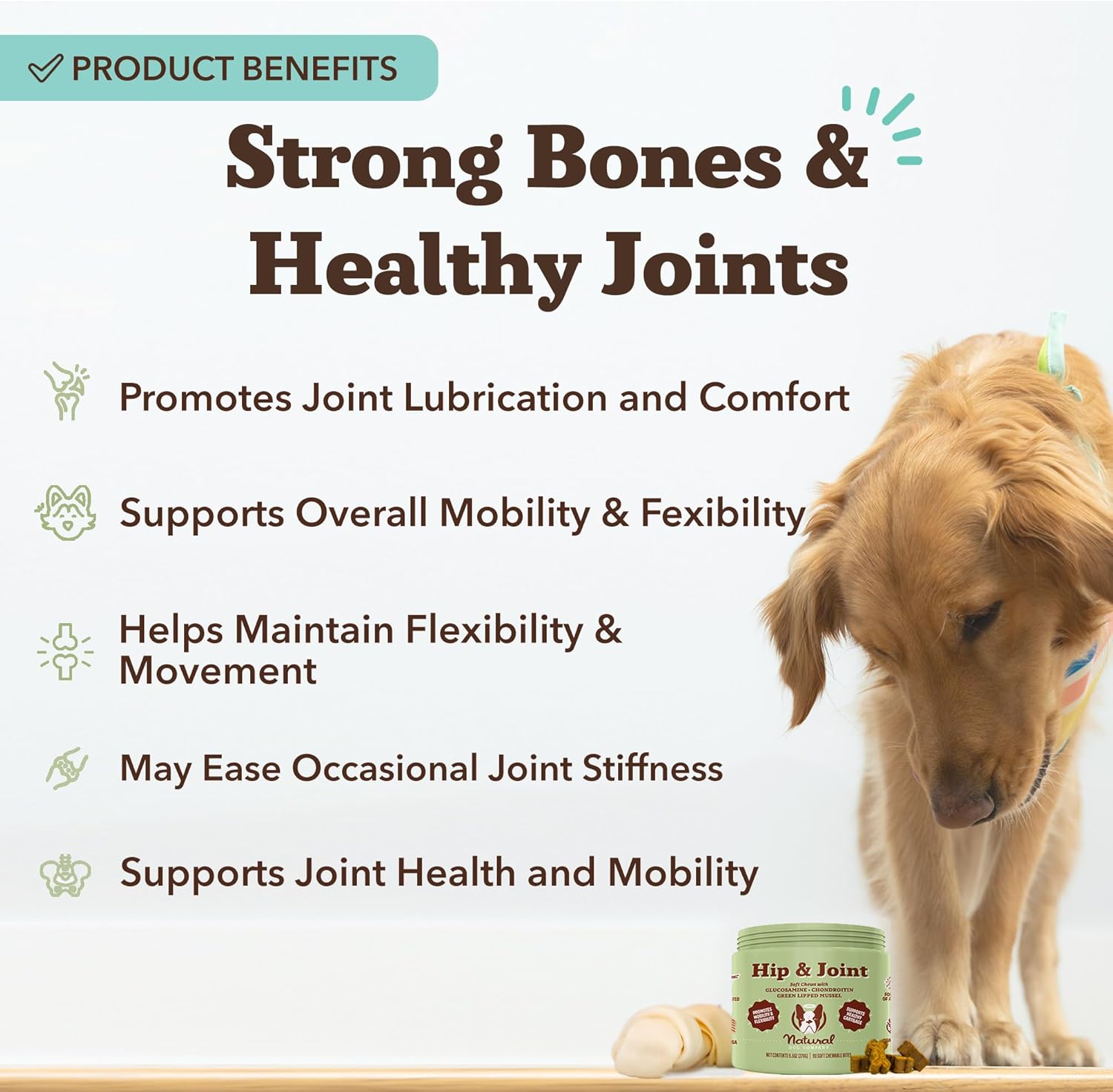 Natural Dog Company Hip & Joint Chews, Chicken Liver & Turmeric Flavor, with Glucosamine Chondroitin for Dogs, Maintains Bone and Joint Health, Supplements for Seniors and Puppies, 90 Count - Pet Explorer