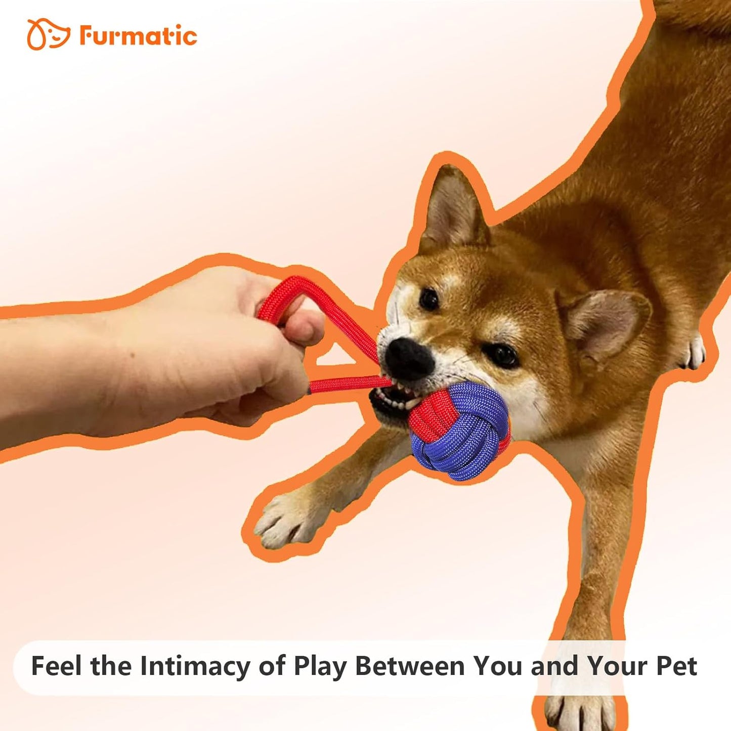 Rope Dog Toys for Small and Medium Dogs | Dog Toys for Aggressive Chewers | Dog Tug of War Toy for Interaction and Teeth Cleaning, Set of 3 Ropes