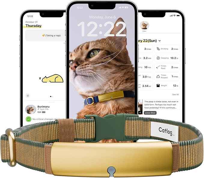 Health Tracker for Cats - Smart Cat Collar with Safety Breakaway Buckle for Indoor Cats, Wellness Alerts, Real-time Monitoring (Forest, XS)