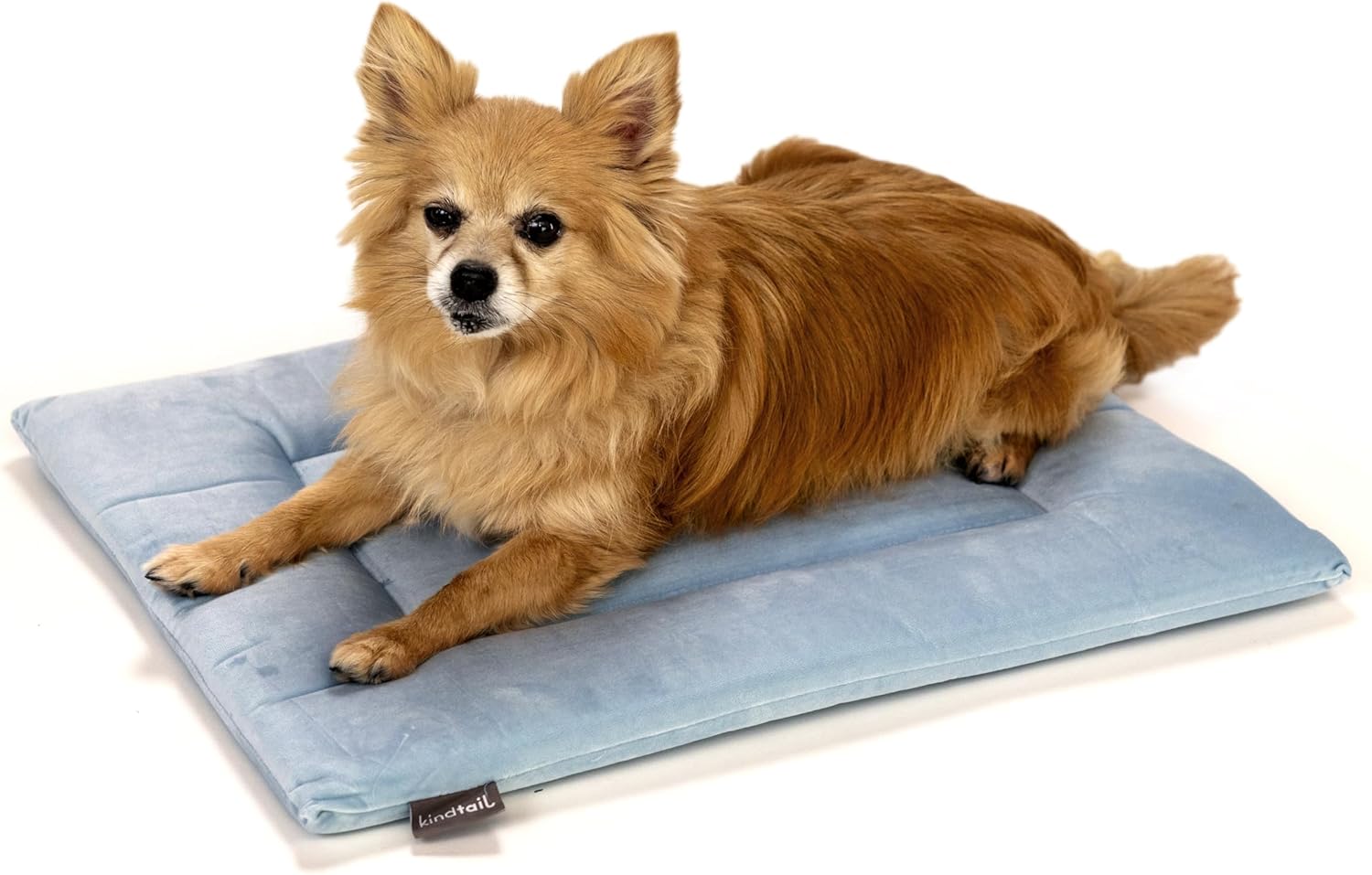 KindTail Dog Crate Pad - Soft Velvet, Reversible Bed - Machine Washable Kennel Mat for Pets up to 15 lbs, Mattress for Cozy Sleeping - 20” x 15” x 1” (Light Blue, Small) - Pet Explorer