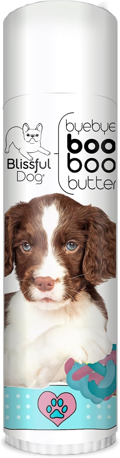 The Blissful Dog Springer Spaniel Boo Butter, 0.50 oz - Pet Explorer