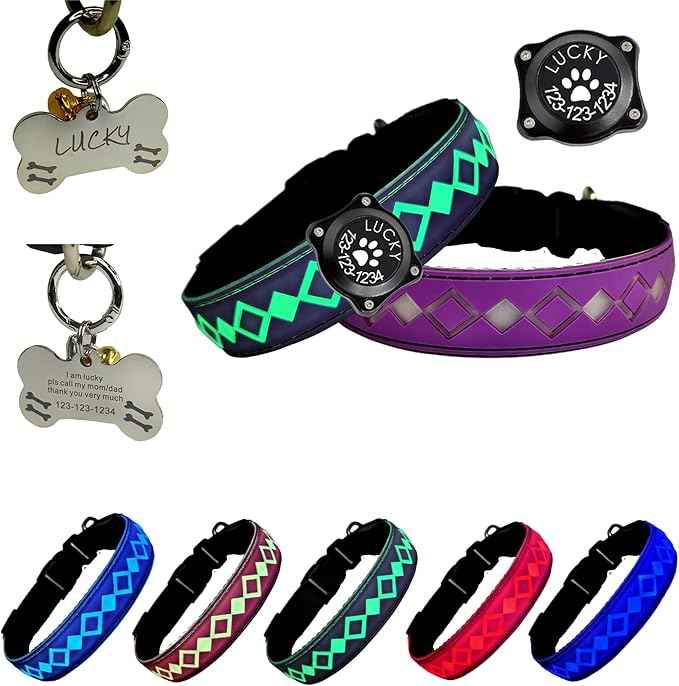 LED Dog Collar with AirTag Holder and Custom ID Tag, 15 Light Modes, Waterproof, Multiple Colors (PURPLE, XL(19.7-23.6"))