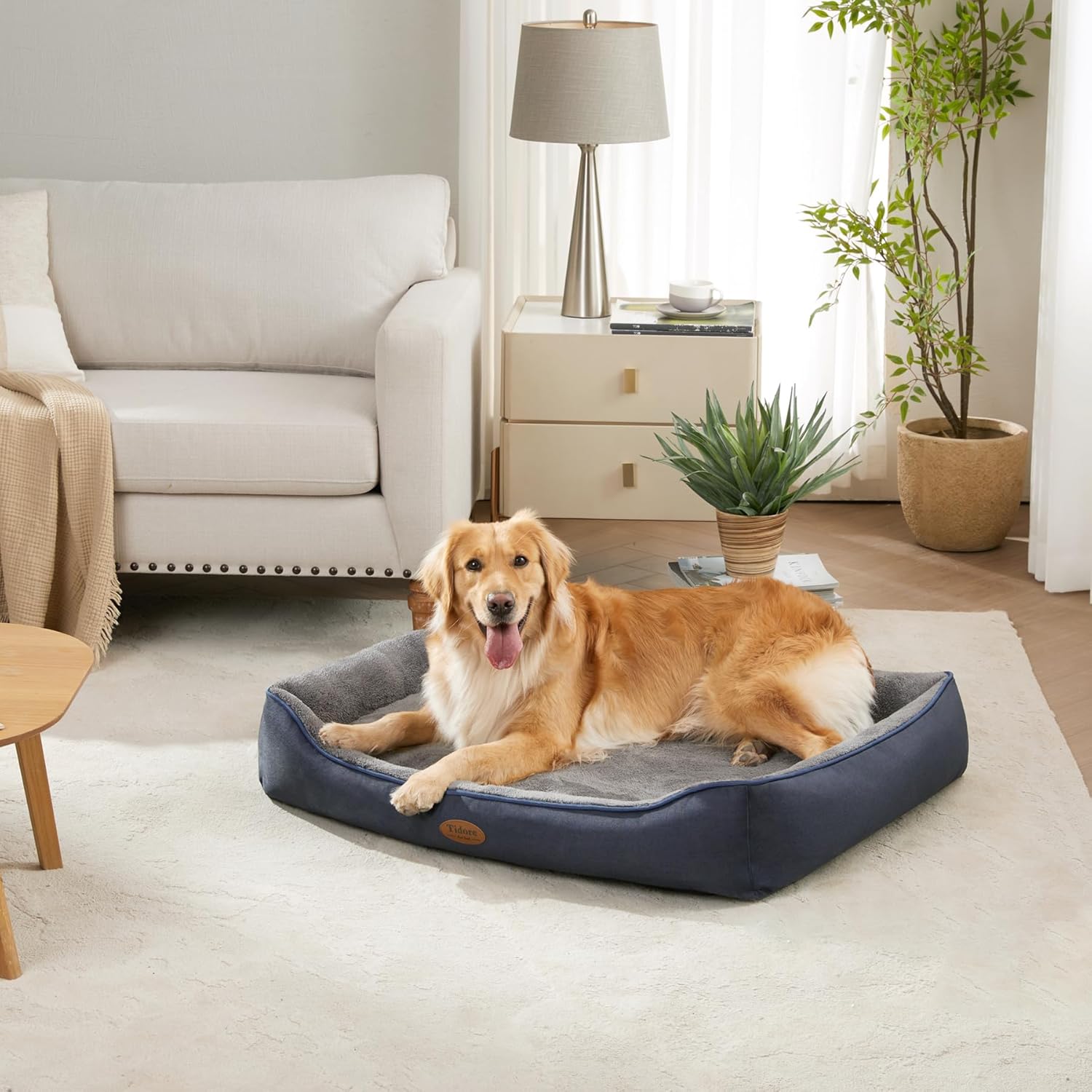 Orthopedic Dog Beds for Medium Dogs, Durable Egg Crate Foam Sofa Dog Bed wit Washable Removable Cover,Waterproof Lining,Pet Bed for Large Dogs (Navy Blue-Velvet, 39.4" L x 31.5" W x 7.4" Th) - Pet Explorer