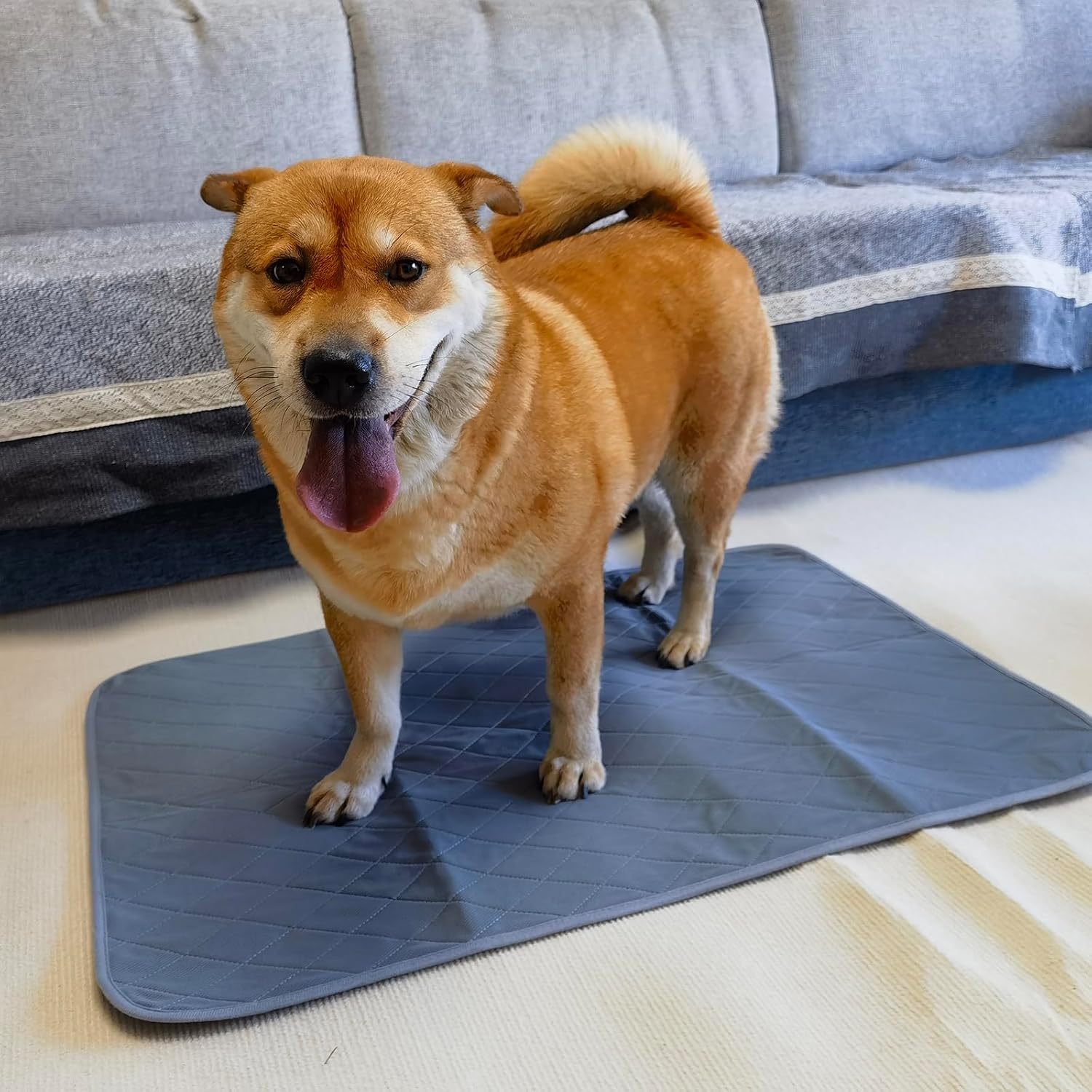 Washable Puppy Pee Pad for Dog Potty Training (Replacement Pee pad) - Pet Explorer