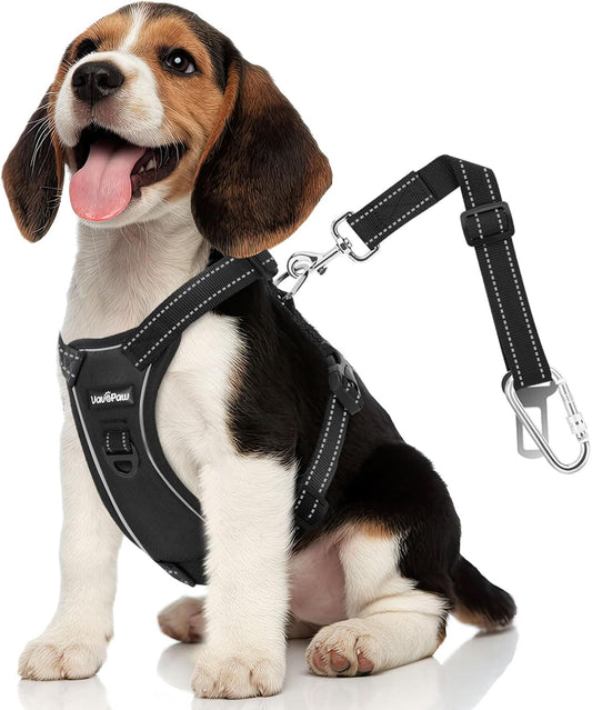 Dog Seat Belt Harness for Car, Dog Car Harness Adjustable Mesh Breathable & Dogs Seatbelt Safety Tether with Elastic Bungee for Small Medium Large Pets(Carbon Black, M) - Pet Explorer