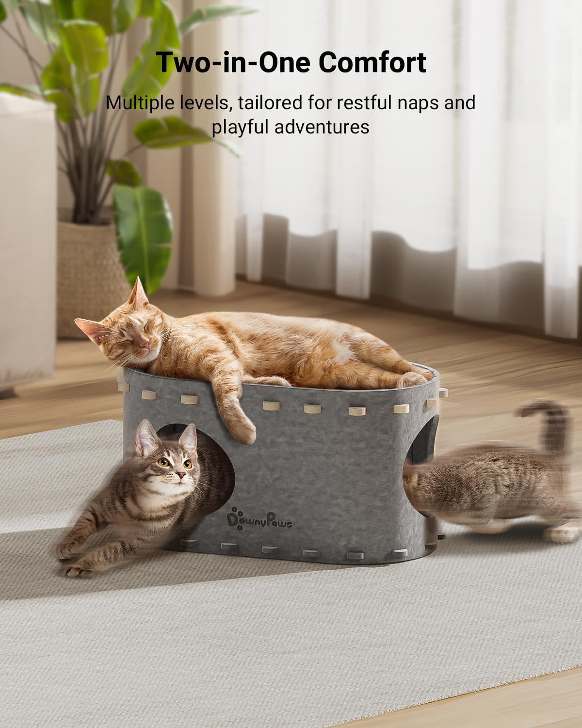 DownyPaws Cat House for Indoor Cats, Cat Bed Cave for Multiple & Large Cats Up to 22 Lbs, Scratch Resistant, Foldable Peekaboo Kitten Caves Tunnel Enclosed Bed, PeekaPurr, Light Gray - Pet Explorer