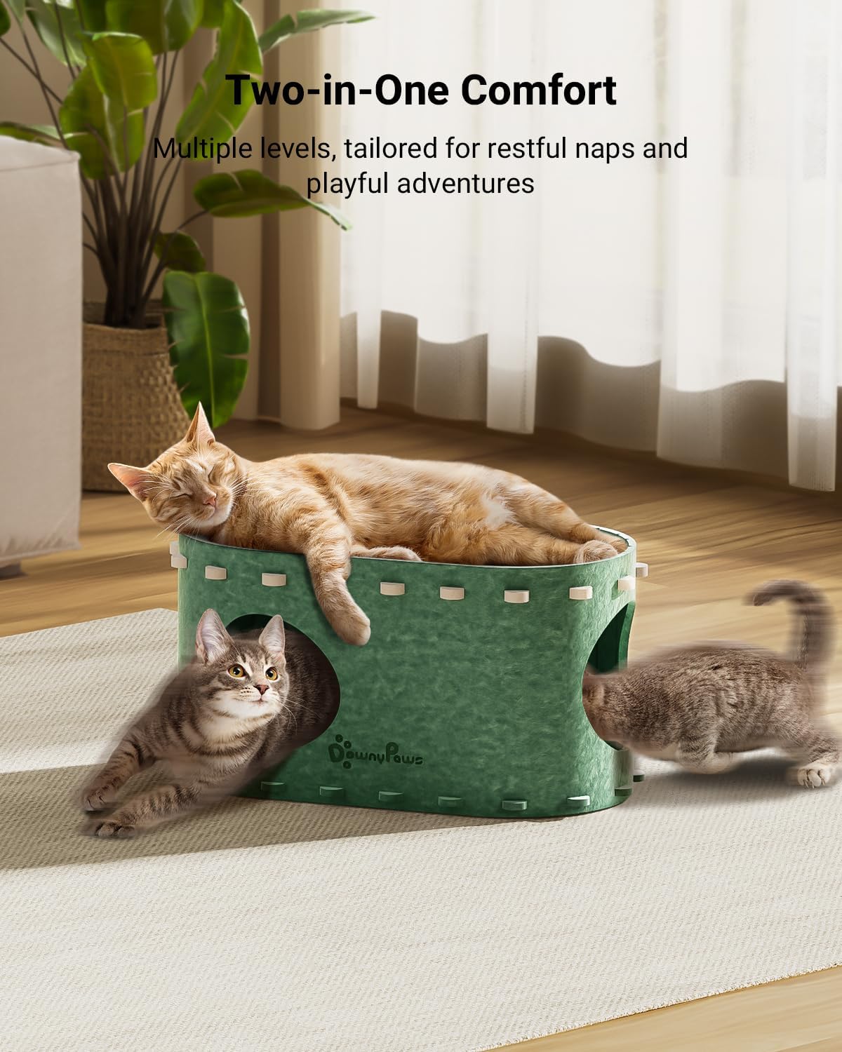 DownyPaws Cat House for Indoor Cats, Cat Bed Cave for Multiple & Large Cats Up to 22 Lbs, Scratch Resistant Peekaboo Cat Caves, Foldable Tunnel Enclosed Bed, PeekaPurr, Forest - Pet Explorer