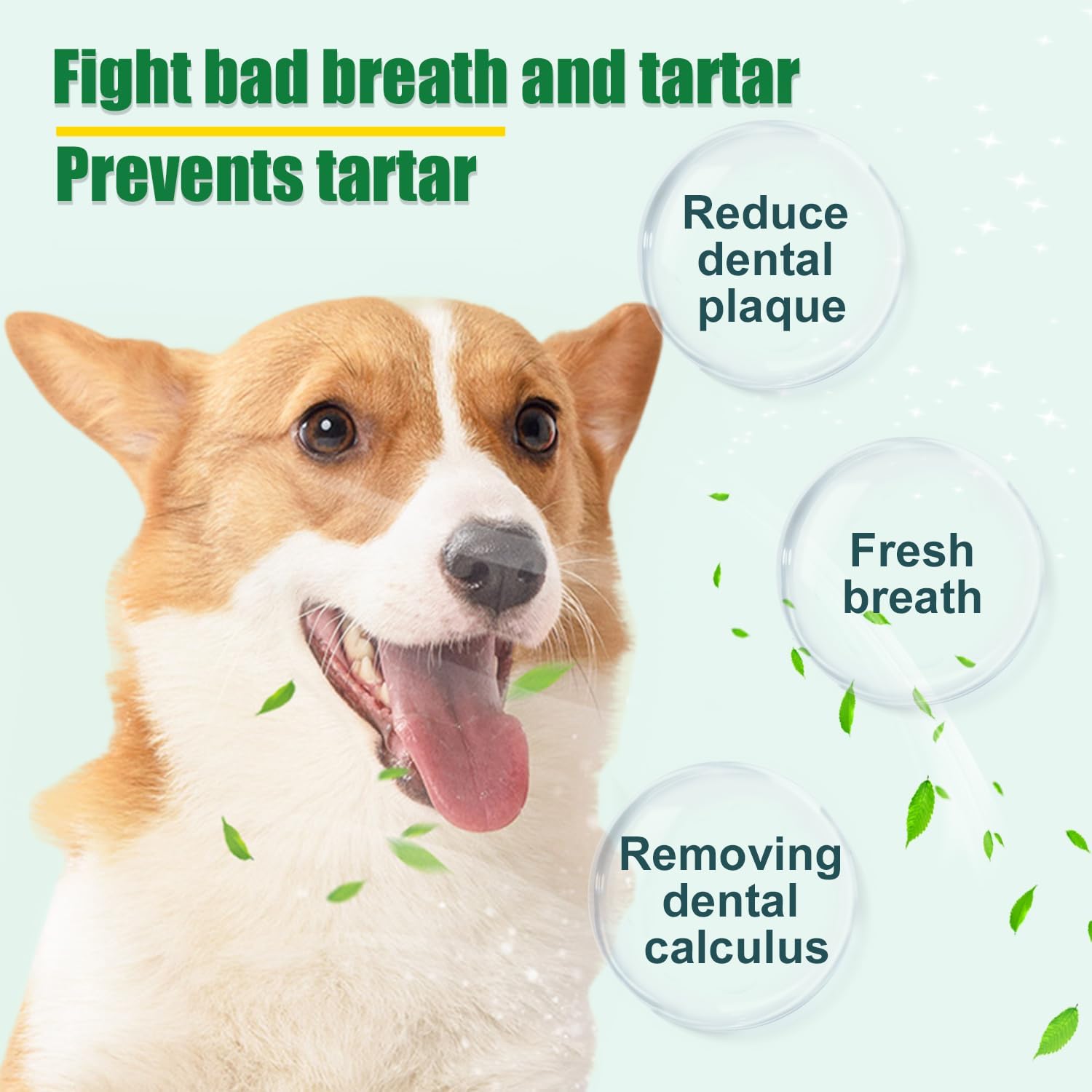 Dog Dental Powder - Dog Teeth Cleaning Powder,Pet Breath Freshener for Teeth Cleaning,Tartar Remover & Reduces Plaque & Bad Breath,Dental Care Supplies for Dogs Cat-Beef Flavor 50g - Pet Explorer