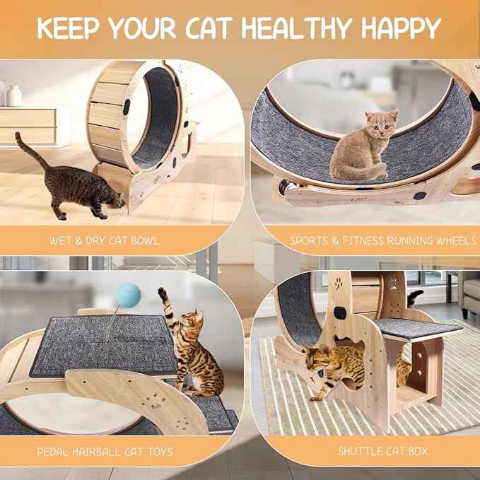 6-in-1 Cat Exercise Wheel, Upgraded Large Cat Wheel Exerciser, Running Wheels for Indoor Cats, Cats Wheel with Silent (Wood)