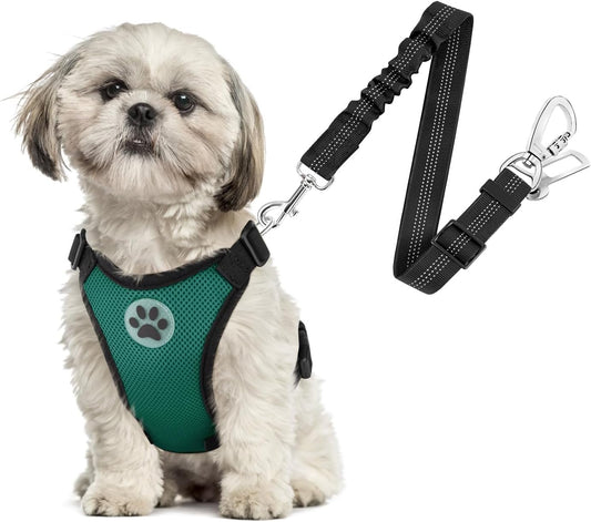 SlowTon Dog Seat Belt Harness for Car, Dog Car Harness Adjustable Mesh Breathable & Dog Seatbelt Safety Tether with Elastic Bungee for Small Medium Large Pets(Green, Double Clip, XS) - Pet Explorer