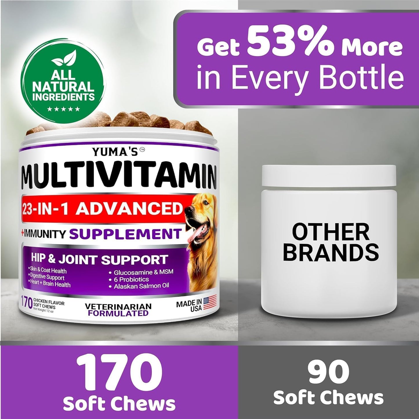 2-Pack Dog Multivitamin Chewable with Glucosamine - Dog Vitamins and Supplements - Senior & Puppy Multivitamin for Dogs - Hip & Joint Support - Immune Health, Skin, Heart, Digestion, Probiotics - Pet Explorer