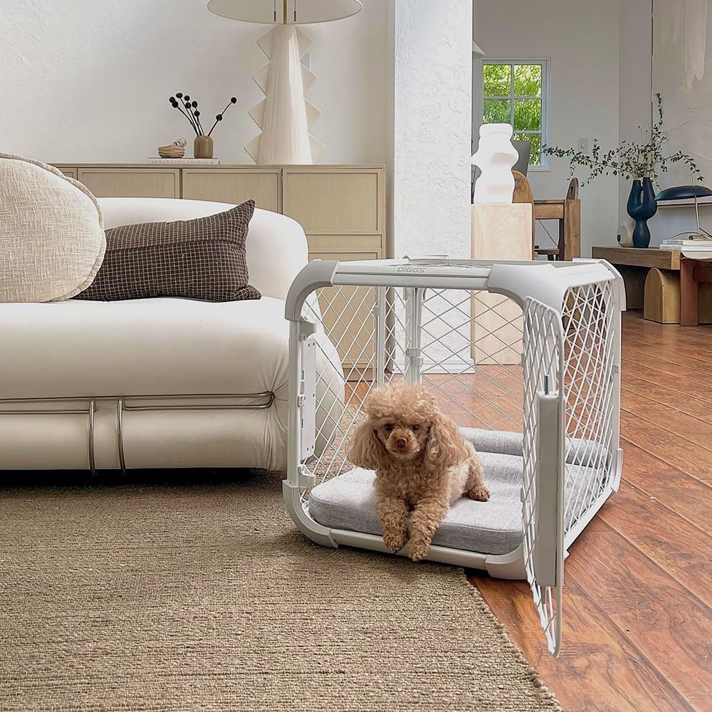 DIGGS Evolv Dog Crate - Slim, Durable Dog Kennel with Removable Ceiling Panel and Modular Design - Safe, Stylish, Convenient (Ash, Large) - Pet Explorer
