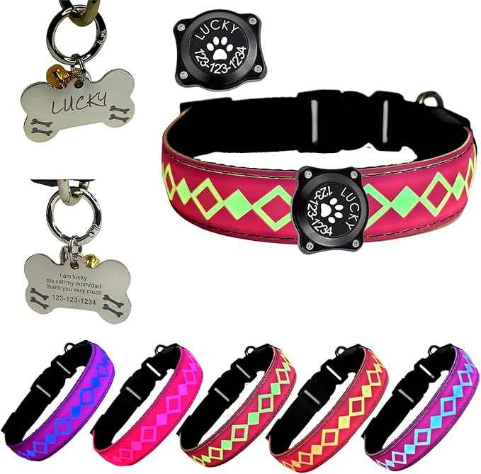 LED Dog Collar with AirTag Holder and Custom ID Tag, 15 Light Modes, Waterproof, Multiple Colors (PINK, M(11.8-15.7"))