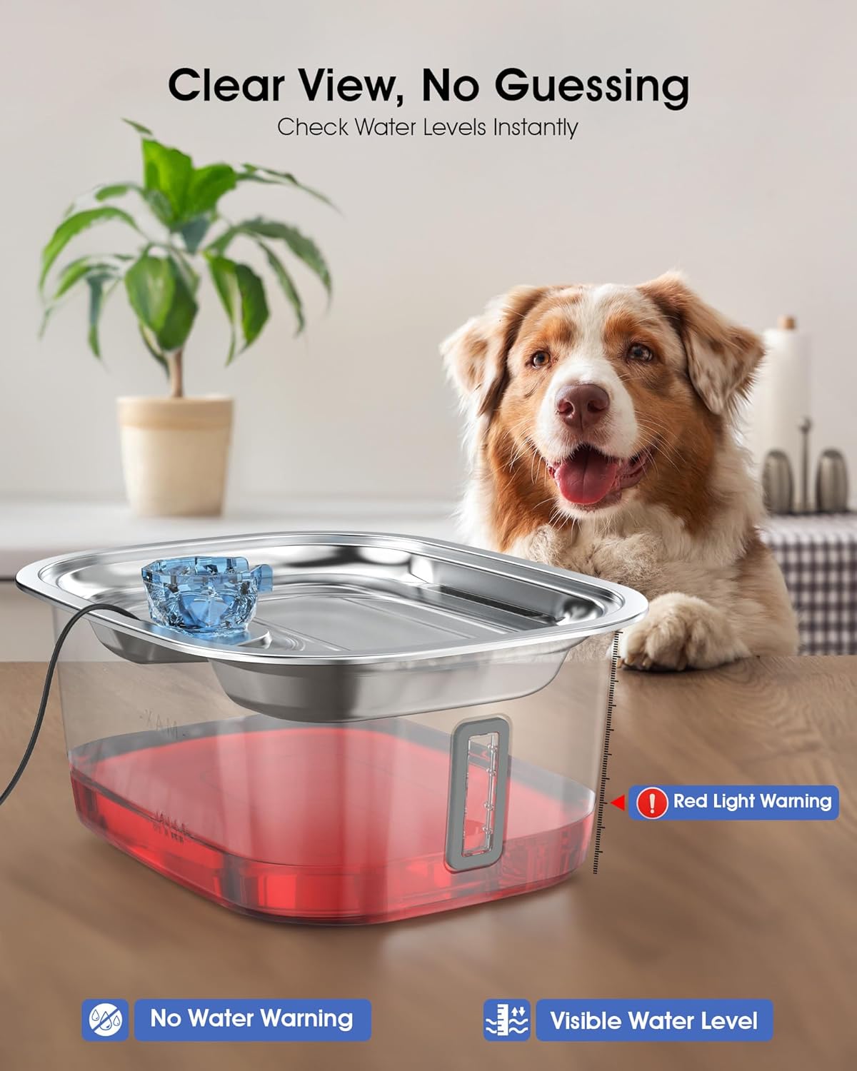 Dog Water Fountain for Large Dogs - 3 Gallon Stainless Steel Dog Water Bowl Dispenser with 4 Filters, Automatic Big Extra Large Capacity Pet Water Fountain, Easy Clean with Quiet Pump - Pet Explorer