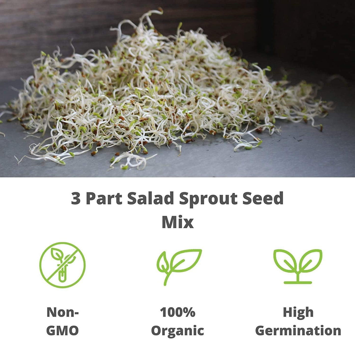 Handy Pantry Organic Birdseed - 1 Lb - Sprouting Bird Seed Mix for Small, Medium & Large Birds- Feed for Songbirds, Parakeets, Parrots, etc