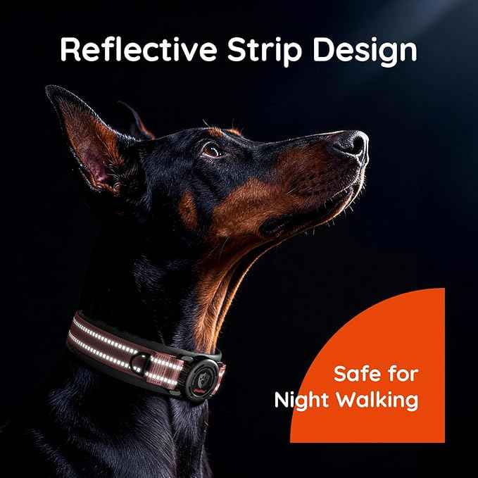 Upgraded AirTag Dog Collar with Holder, Waterproof Reflective Air Tag Dog Collar with Widened Comfortable Padding & Ultra-Durable Metal Buckle, Adjustable for Medium Dogs (M, Rose Red)