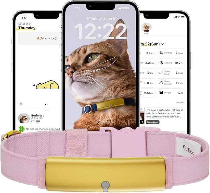 Health Tracker for Cats - Smart Cat Collar with Safety Breakaway Buckle for Indoor Cats, Wellness Alerts, Real-time Monitoring (Kimono (Sakura),S)