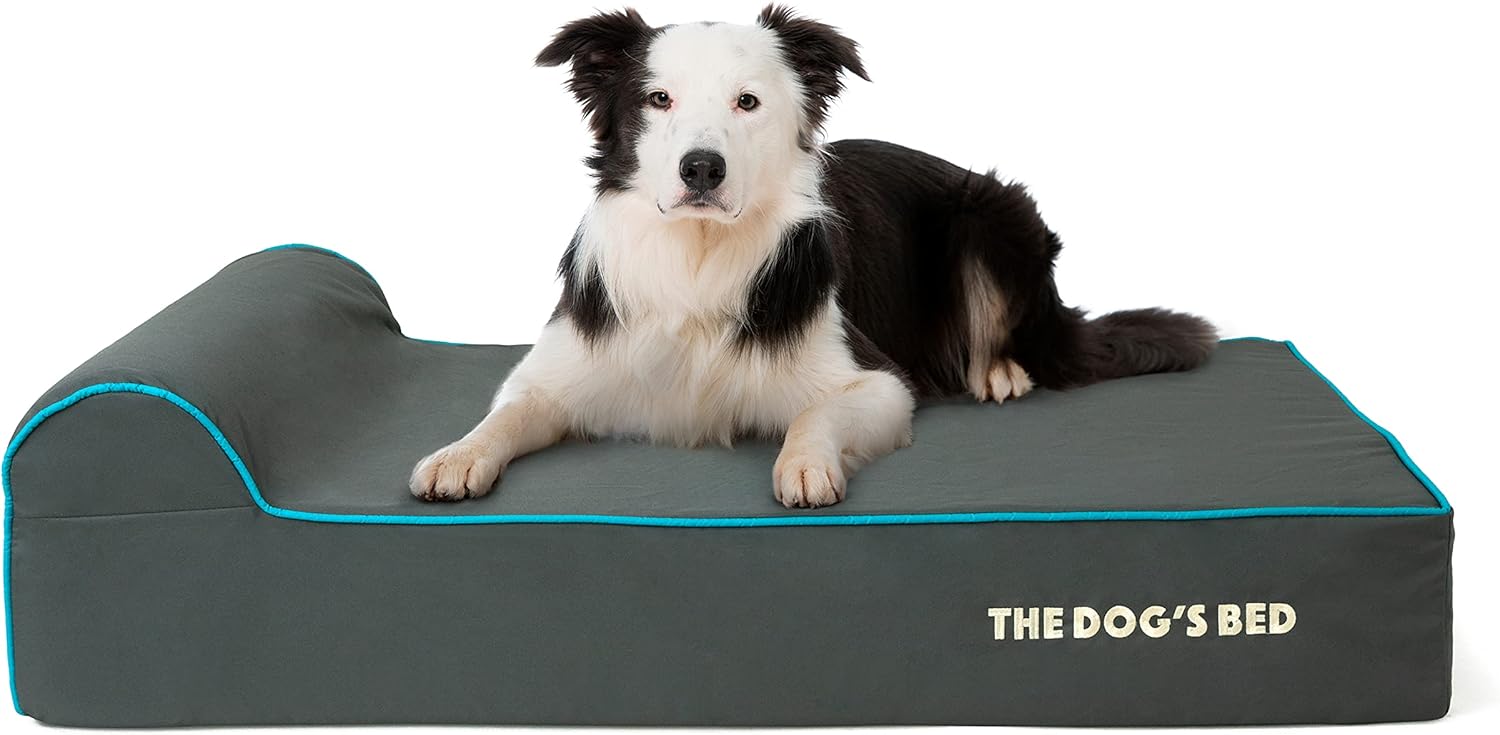 The Dog’s Bed Orthopedic Headrest Dog Bed Large Grey/Blue 40x25, Memory Foam, Pain Relief for Arthritis, Hip & Elbow Dysplasia, Post Surgery, Lameness, Veterinary Approved, Waterproof Washable Cover - Pet Explorer