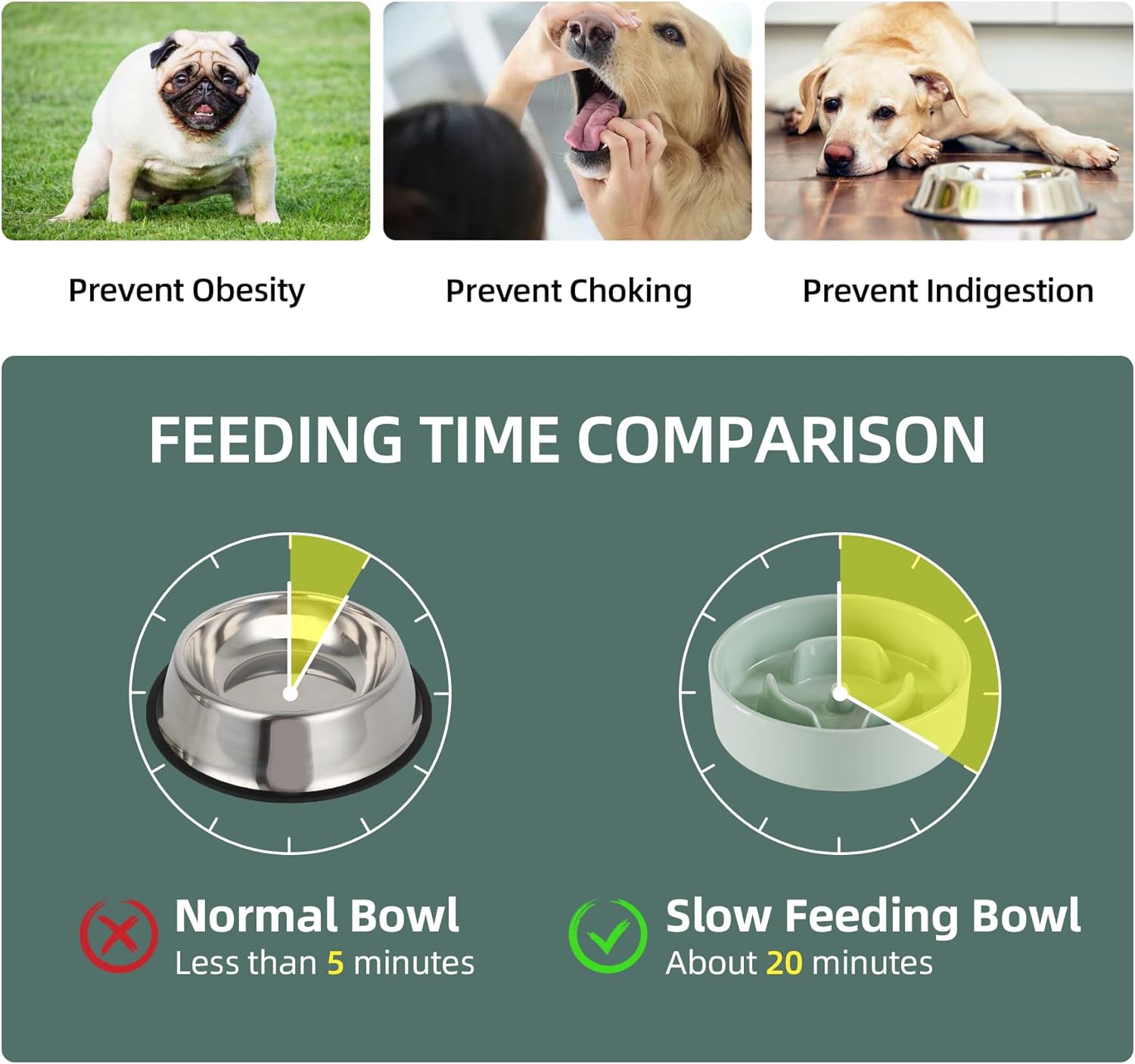 Ceramic Raised Slow Feeder Dog Bowl Set, Elevated 5.1inch Bowl and 6.1inch Puzzle Slow Pet Food Dish with Wooden Stand for Small Dog and Cat, Anti-Gulping (2X Light Green+ Stand) - Pet Explorer