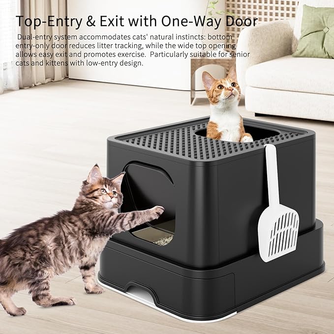 RIZZARI Stainless Steel Litter Box: Spacious Enclosed Design with Easy-Clean Drawer - Dual Entry with Top Exit and Door - Black Leak-Proof & Odor-Free Tray for Cats in Garage Basement