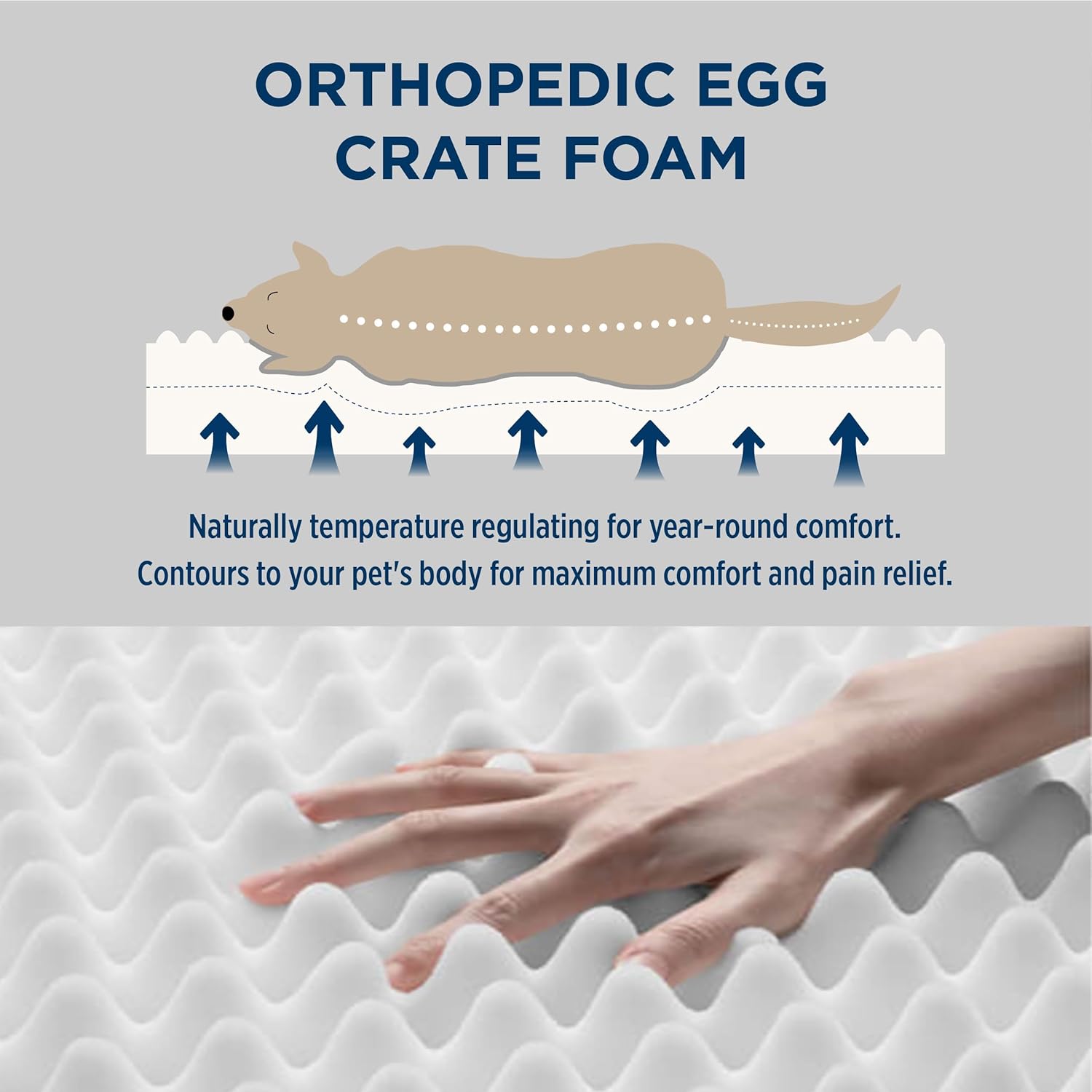 Bedsure XL Dog Bed for Crate - Large Orthopedic Flat Pet Beds with Removable Washable Cover, Egg Crate Foam Crate Mat, Suitable for Pet Up to 90 lbs - Pet Explorer