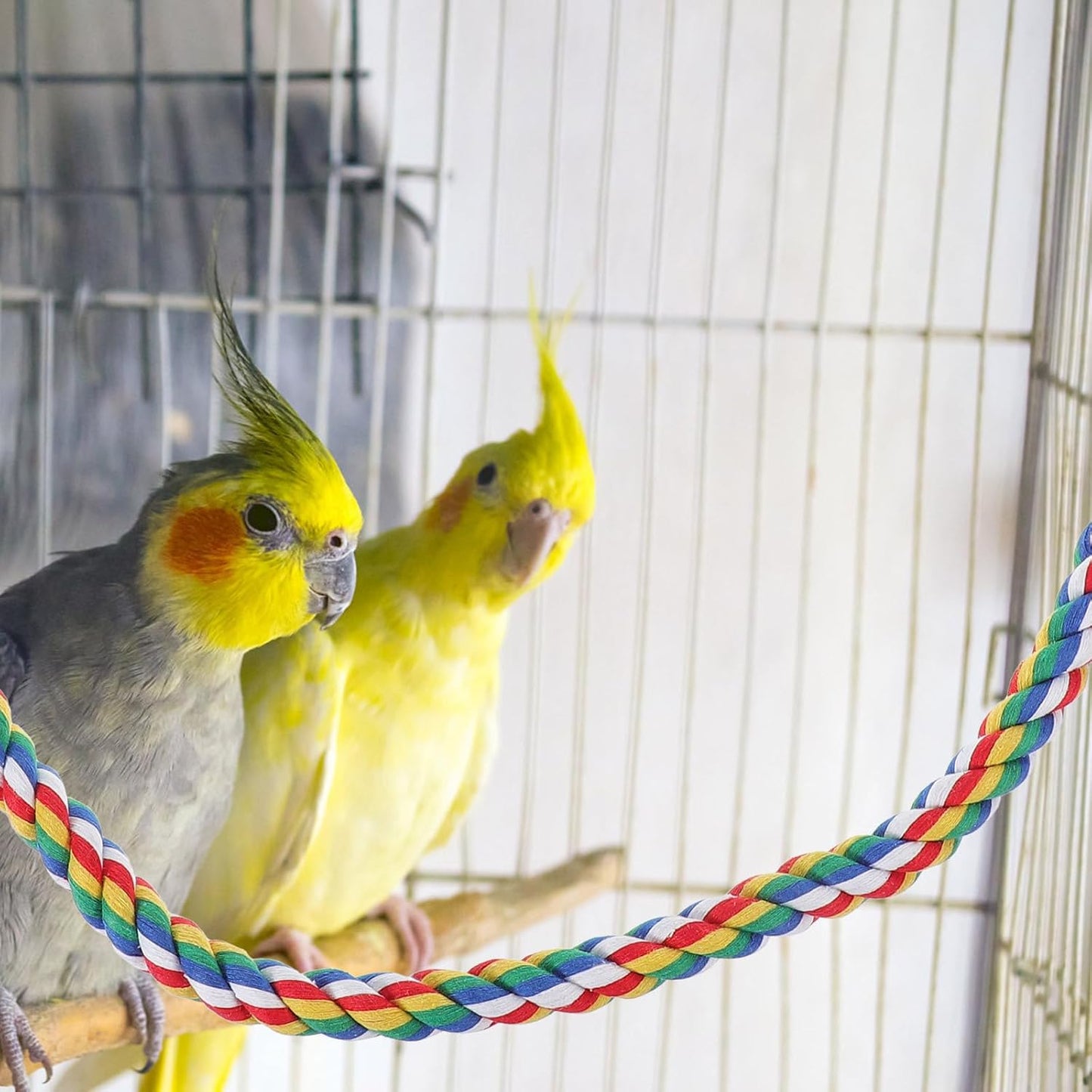 iplusmile Bird Rope Perches Toys for Parrots, Birdcage Spiral Swing Bungee Colorful Rope Toy for Parrots, Cockatiels, Parakeets, Budgie Cages Accessories (40inch)