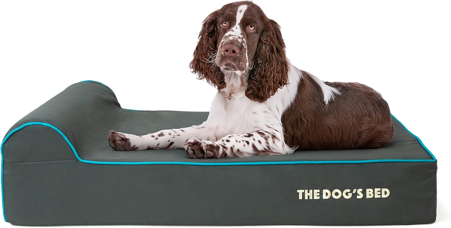 The Dog’s Bed Orthopedic Headrest Dog Bed Large Grey/Blue 40x25, Memory Foam, Pain Relief for Arthritis, Hip & Elbow Dysplasia, Post Surgery, Lameness, Veterinary Approved, Waterproof Washable Cover - Pet Explorer