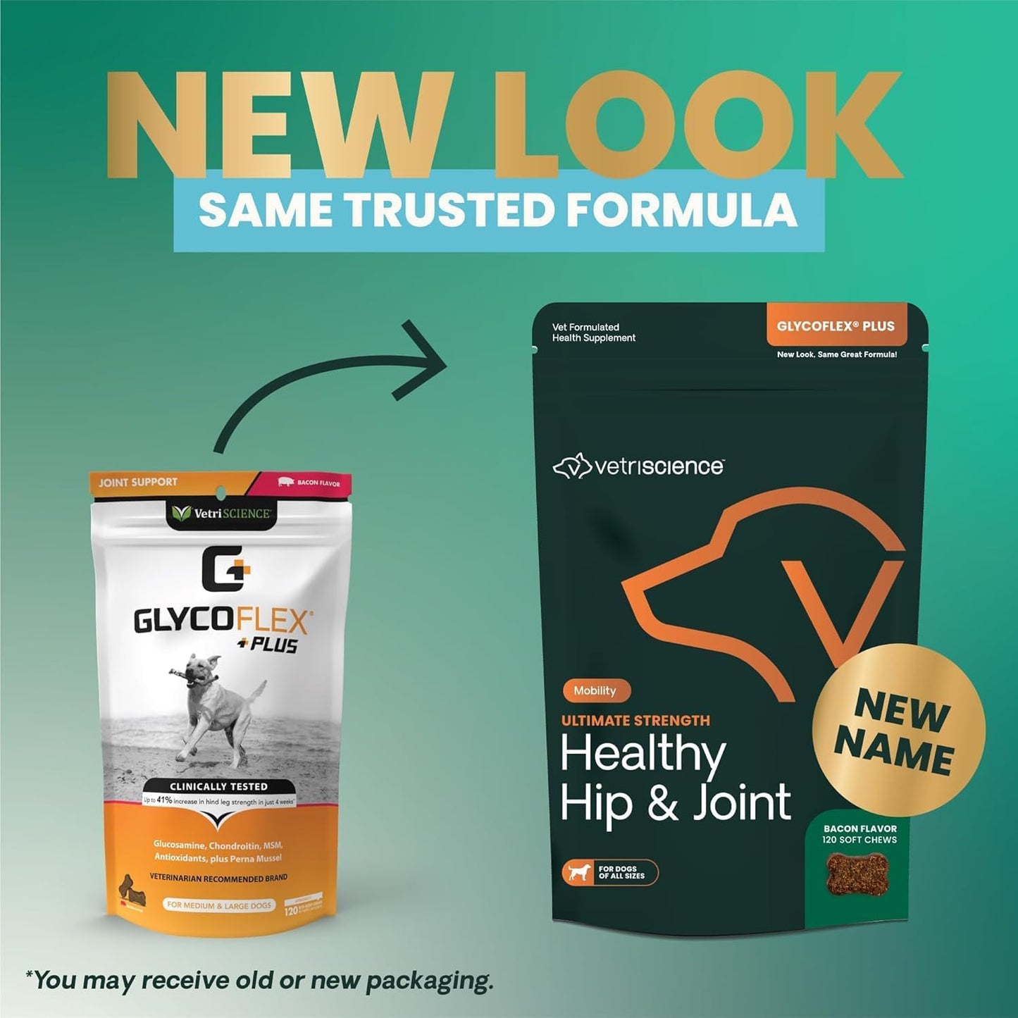 VetriScience GlycoFlex Ultimate Strength Healthy Hip & Joint Glucosamine Supplements for Dogs, with MSM, Chondroitin & Green-Lipped Mussel, Soft Chews, Bacon, 120 Count - New Look - Pet Explorer