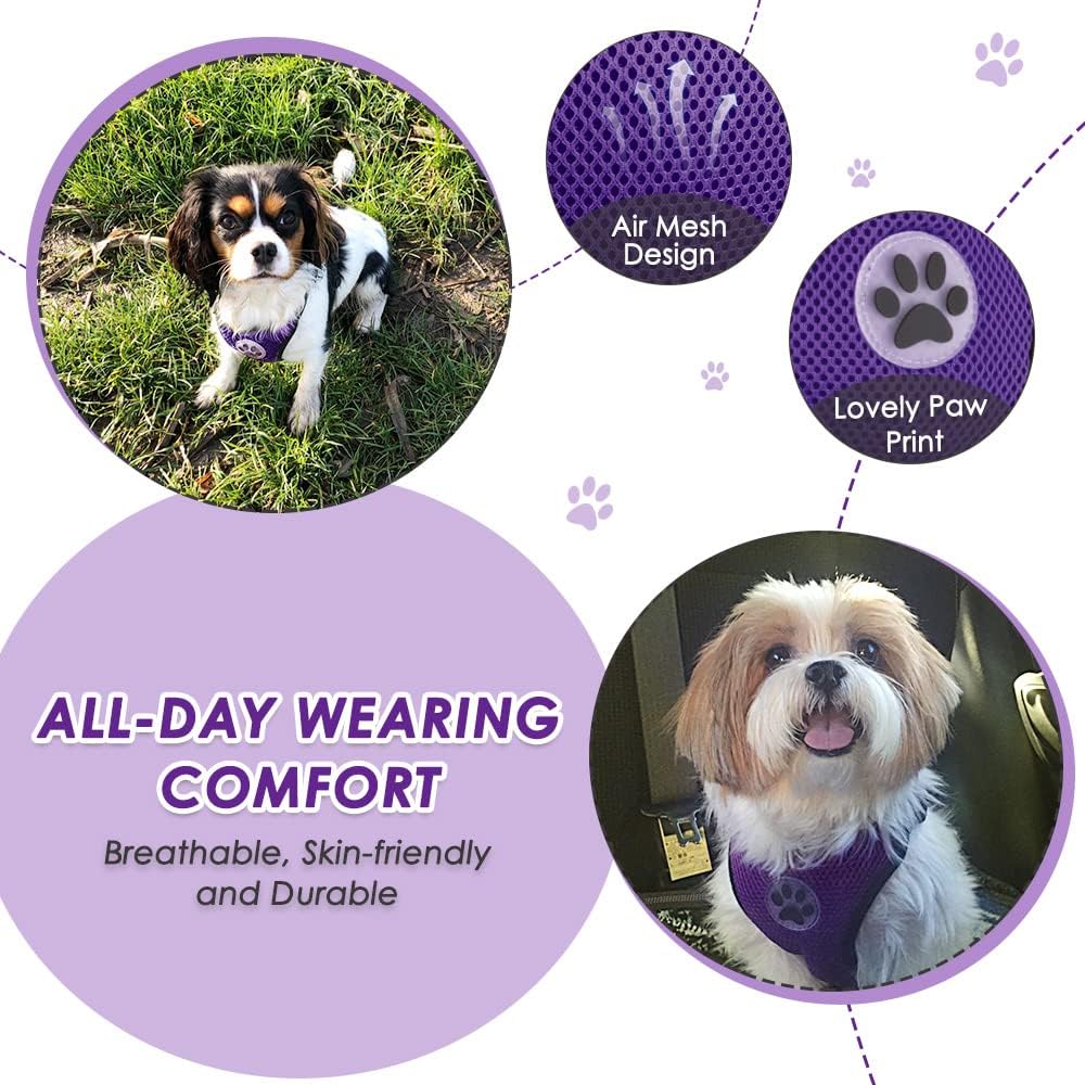 Lukovee Dog Seat Belt for Car, Adjustable Dog Car Harness for Large Medium Small Dogs, Soft Padded & Breathable Mesh Dog Seatbelt with Car Strap and Carabiner(Purple Double Clip,XX-Small) - Pet Explorer