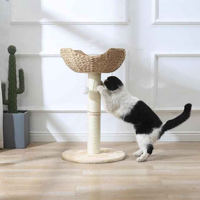 SHENGOCASE 2-Pack Small Cat Tree Tower with Wicker Rattan Basket, 17.7 inch Window Perch for Large Cats up to 25 lbs, Elevated Bed with Cushion