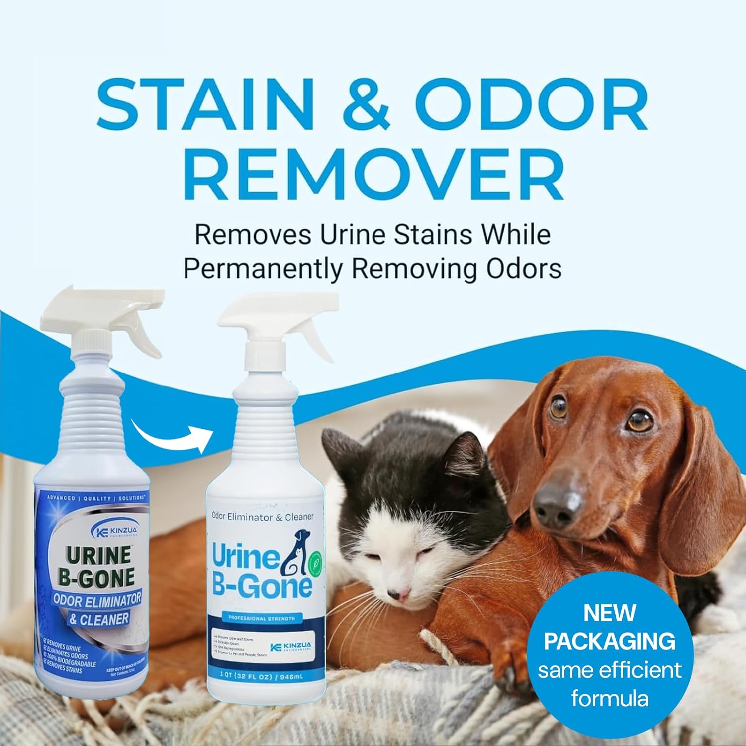 KINZUA ENVIRONMENTAL Urine B-Gone, Professional Enzyme Odor Eliminator & Pet Stain Remover, Human, Cat & Dog Urine Cleaner, Effective on Laundry, Carpets & More, Original Scent, 32oz - Pet Explorer