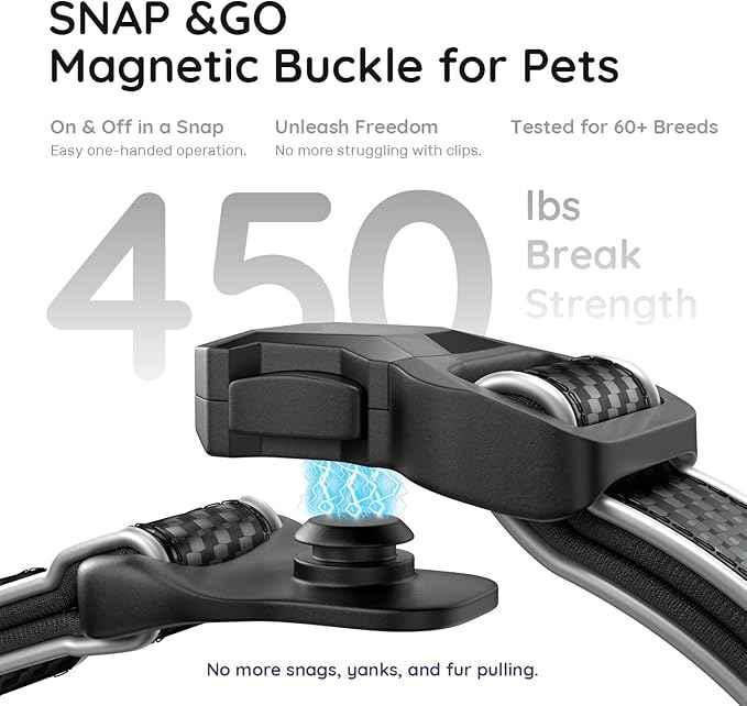 WhoseID Premium Leather Dog Collar - AirTag Dog Collar | Fur-Safe Magnetic Buckle | IPX8 Waterproof Reflective Small Dog Collar with AirTag Holder