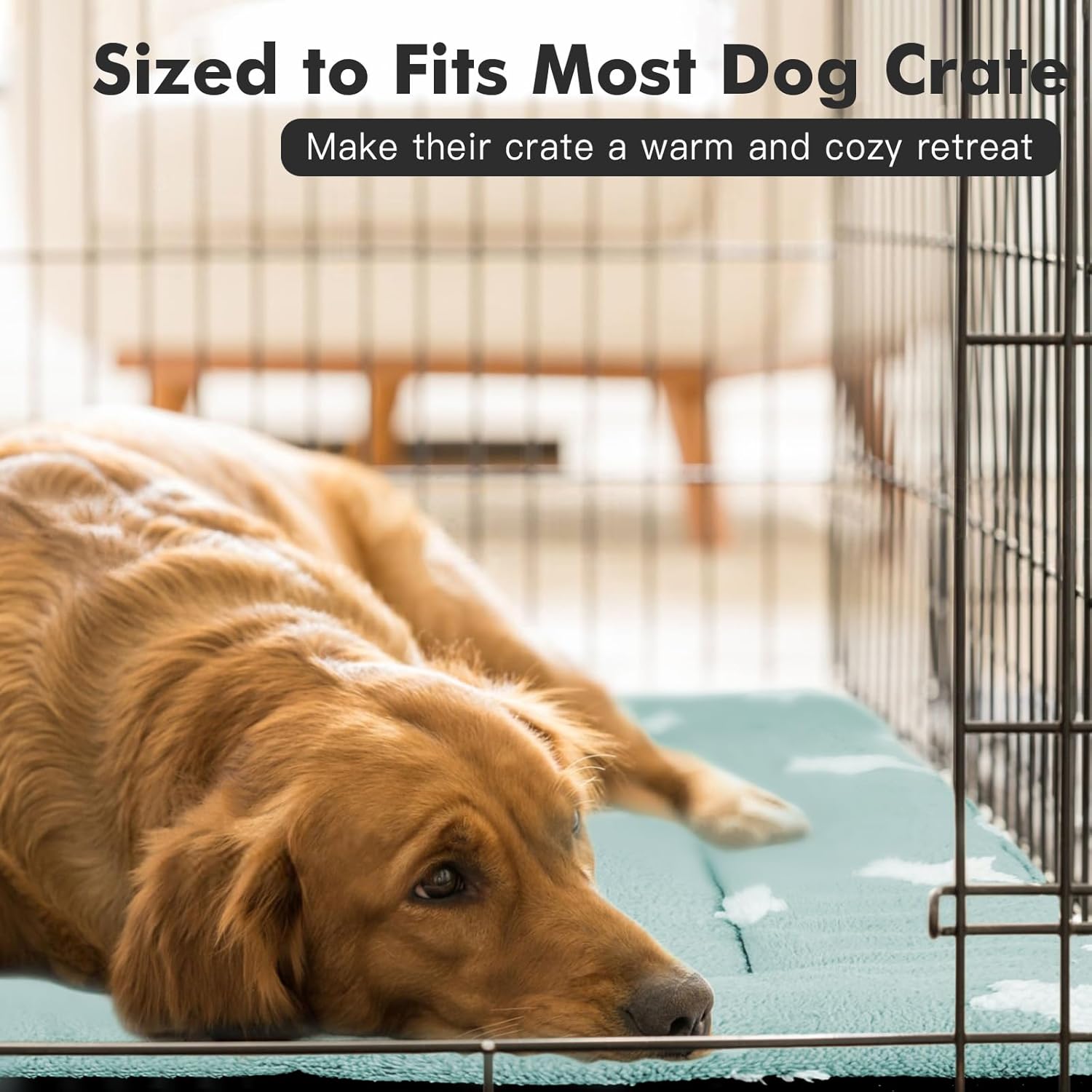 Mora Pets Dog Crate Pad Dog Kennel Bed Crate Mat for Large Dogs Washable Cute Star Pet Bed for Cage Ultra Soft Flat Pillow Cushion for Cozy Sleeping Anti-Slip Blue 42 x 27 - Pet Explorer