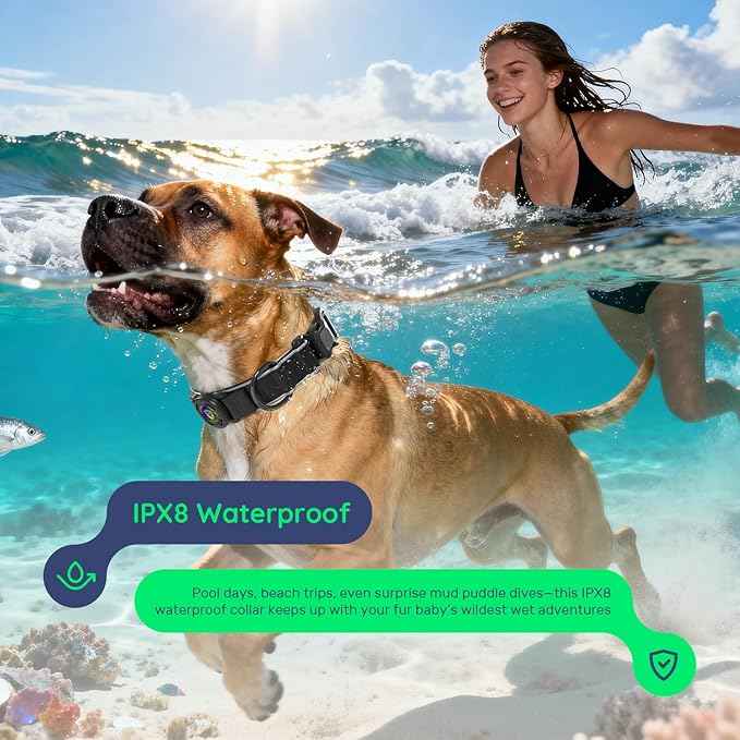 WhoseID Premium Leather Dog Collar - AirTag Dog Collar | Fur-Safe Magnetic Buckle | IPX8 Waterproof Reflective Small Dog Collar with AirTag Holder