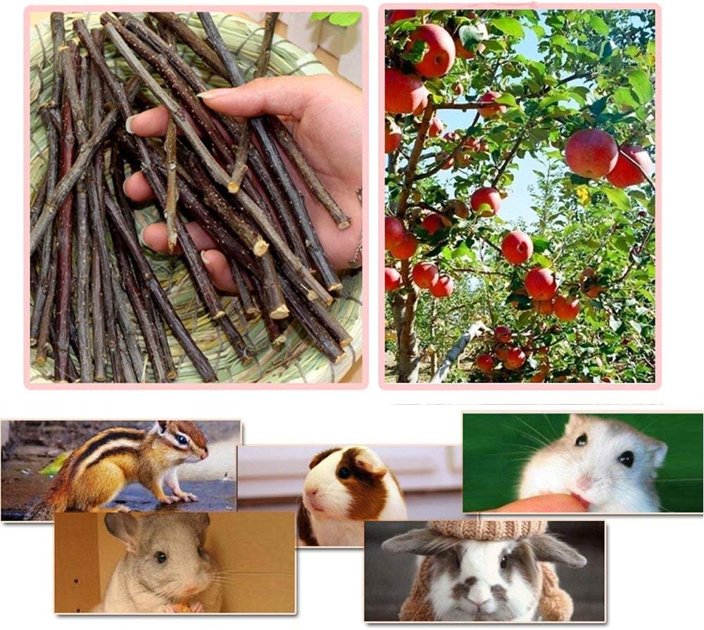 250g Apple Sticks Small Animals Molar Wood Treats Toys for Rabbits Chinchillas Guinea Pig Hamster Gerbil Parrot Bunny and Small Animals Chew Stick Toys Treats
