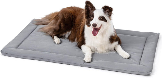 Cybarmour Chew Proof Dog Crate Pad - Outdoor Indestructible Dog Bed - Tough - Potable - Machine Washable - Water & Dirt-Resistant - Large Breeds & Fits 36-Inch Crate - 35"x22", Limestone - Pet Explorer