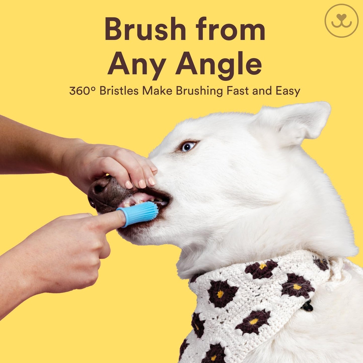 Jasper Dog Toothbrush, 360 Degree Pet Tooth Brushing Kit, Cat Toothbrush, Canine Dental Care & Teeth Cleaning Kit, Pet Finger Tooth Brush, Use with Dog Toothpaste, 4-Pack Multicolor - Pet Explorer