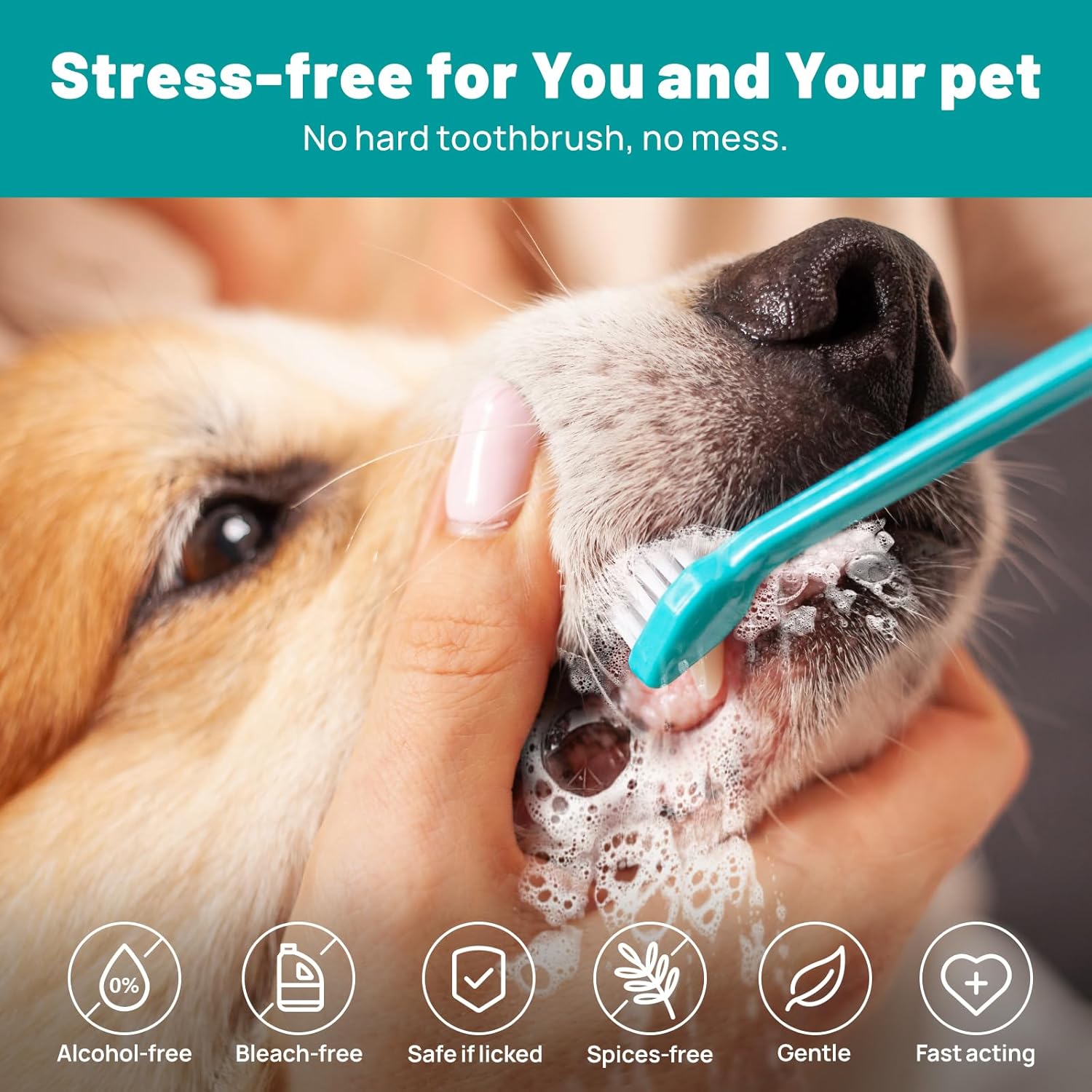 Dog Dental Care Finger Wipes - Teeth Cleaning Finger Wipes for Dog & Cats - Tooth Brushing Kit Dental Wipes for Dog - Reduces Plaque & Freshens Breath (50 PCS, Beef) - Pet Explorer