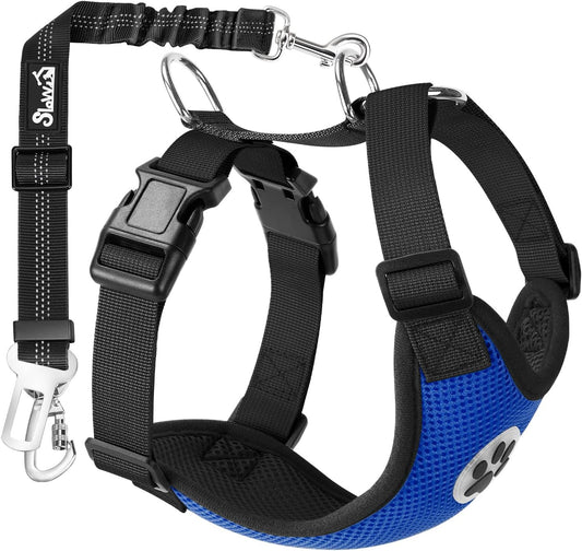 SlowTon Dog Seat Belt Harness for Car, Dog Car Harness Adjustable Mesh Breathable & Dog Seatbelt Safety Tether with Elastic Bungee for Small Medium Large Pets(Blue, Double Clip, S) - Pet Explorer