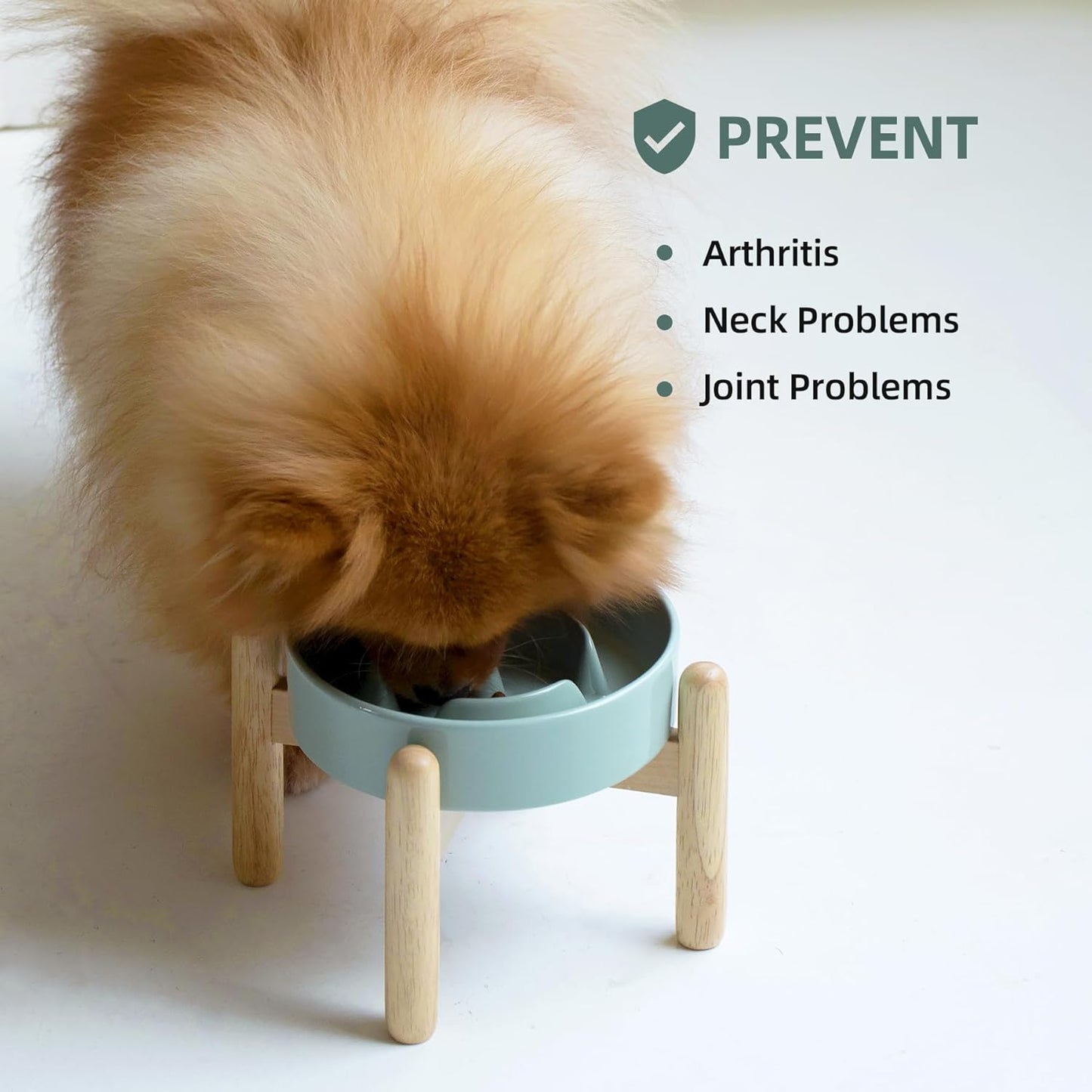 6.1inch Ceramic Raised Slow Feeder Dog Bowl Set, Elevated Wooden Stand for Small Dog and Cat, Puzzle Slow Dish, Preventing Choking(Light Green, Single Bowl+ Stand) - Pet Explorer