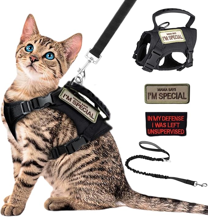 Tactical Cat Harness and Leash Set Soft Mesh Adjustable Large Cat Vest with Rubber Handle Easy to Control for Large Cat Small Dog Outdoor Walking