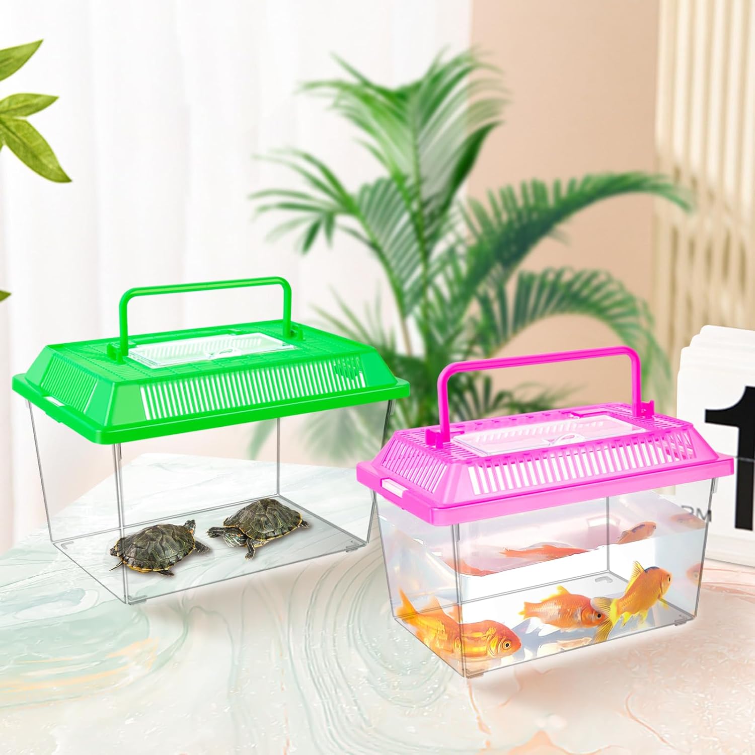 12Pcs Plastic Reptile Terrariums Carrier Cage, Tarantula Enclosure Breeding Box Hatching Container Transparent Fish Tank Turtle Aquarium with Random Color Lid for Hermit Crab, M(7" x 4.3" x 4.3") - Pet Explorer
