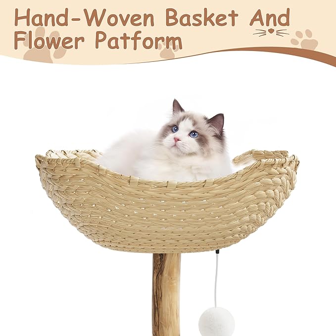 Real Wood Modern Cat Tree Tower, Cat Scratching Post with Bed for Indoor Cats with Natural Wicker Condo, Aesthetic Tree Stand, Boho Luxury Pet Furniture one Platform