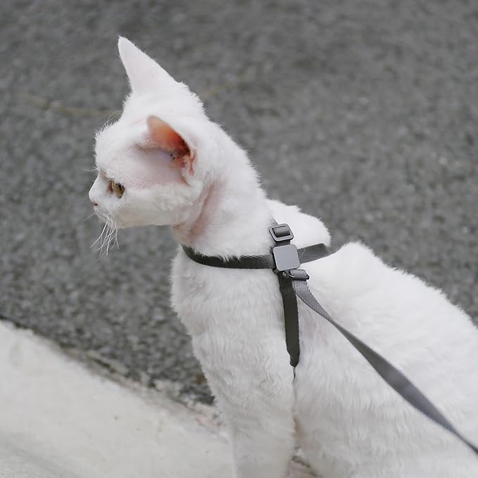Cat Harness Escape-Proof Anti-Choking Adjustable Nylon Harness Lightweight with Anodized Aluminum Buckle, Ideal for Cats Outdoor Walking and Training, IDA Award (Linen, M (17.7"))