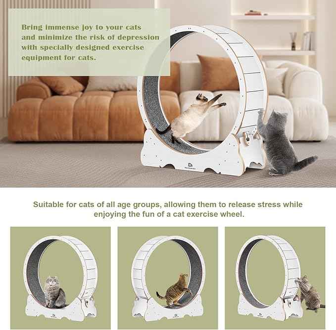 Cat Wheel, 48" XL Large Cats Exercise Running Wheel, Cat Treadmill for Indoor Cats