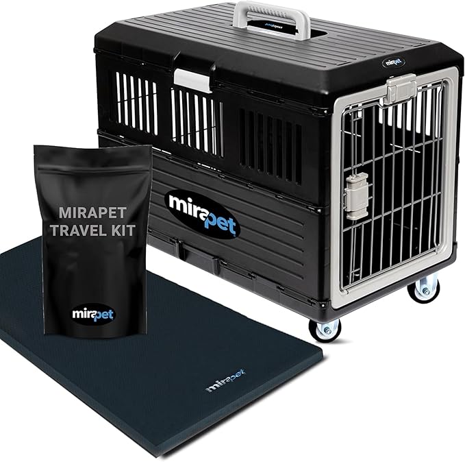Pet Carrier with Pad, 21.5" L x 12" W x 14" H - Collapsible Travel Kit for Small Cats & Dogs, Hard Plastic Wall Kennel for Indoor/Outdoor Use