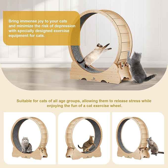 Cat Wheel, 48" XL Large Cat Treadmill for Indoor Pets, Cats Exercise Running Wheel with Detachable Carpet, Quiet and Sturdy, Suitable for Most Cats Running/Walking/Training