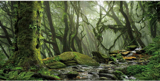 AWERT Foggy Forest Terrarium Background Stream Green Huge Tree Reptile Habitat Background Tropical Rainforest Aquarium Background 72x18 inches Durable Polyester Background